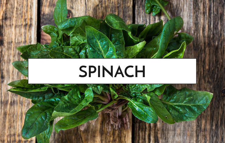 Spinach