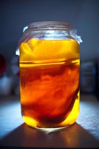 kombucha tea drink