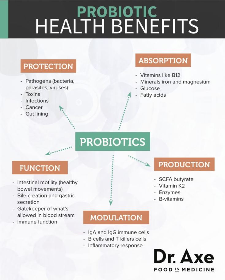 Probiotic Health Benefits Diagram