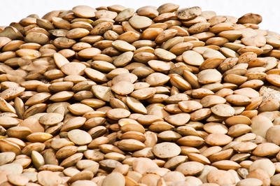 lentils