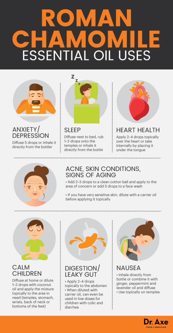 Roman chamomile essential oil uses - Dr. Axe